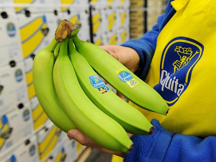 Ein Inspektor des Bananen-Konzerns Chiquita, kontrolliert in der sogenannte Hospital Area des Bananenumschlags stichprobenartig noch grüne Bananen.