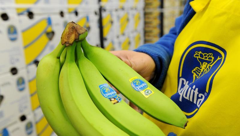 Ein Inspektor des Bananen-Konzerns Chiquita, kontrolliert in der sogenannte Hospital Area des Bananenumschlags stichprobenartig noch grüne Bananen. Ein Inspektor des Bananen-Konzerns Chiquita, kontrolliert in der sogenannte Hospital Area des Bananenumschlags stichprobenartig noch grüne Bananen.