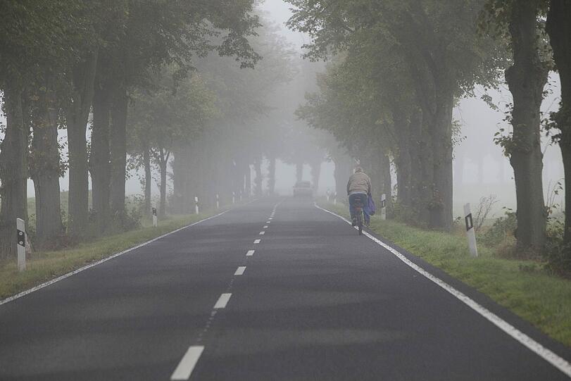 Eine Autofahrerin entdeckte am Samstagmorgen an der Bundesstraße 15 zwischen Tirschenreuth und Mitterteich die Leiche eines Mannes.
