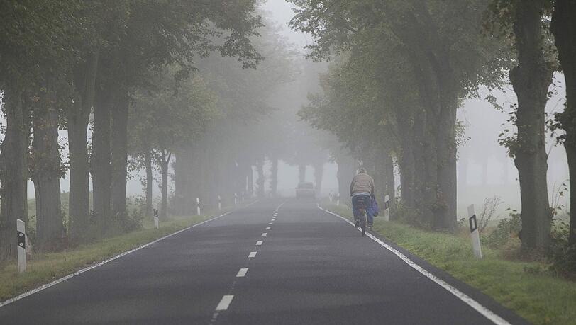 Eine Autofahrerin entdeckte am Samstagmorgen an der Bundesstraße 15 zwischen Tirschenreuth und Mitterteich die Leiche eines Mannes. Eine Autofahrerin entdeckte am Samstagmorgen an der Bundesstraße 15 zwischen Tirschenreuth und Mitterteich die Leiche eines Mannes.