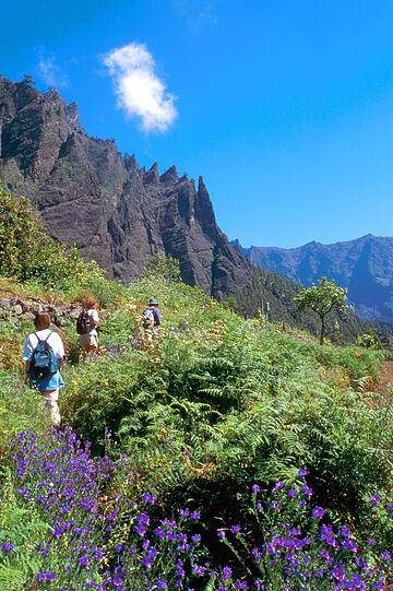 Teneriffa: Vorbei an üppigen Blumenwiesen führt die Wanderung durch den Parque Nacional de La Caldera de Taburiente.
