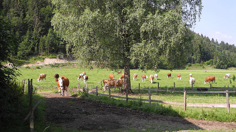 Urlaub auf dem Bauernhof - den hektischen Tagen einfach mal entkommen.
