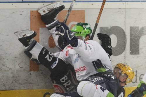 Hart zur Sache ging es an der Bande: Tiger David Cespiva (weißes Trikot) nagelt Chris Taylor fest.