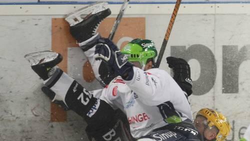 Hart zur Sache ging es an der Bande: Tiger David Cespiva (weißes Trikot) nagelt Chris Taylor fest. Hart zur Sache ging es an der Bande: Tiger David Cespiva (weißes Trikot) nagelt Chris Taylor fest.