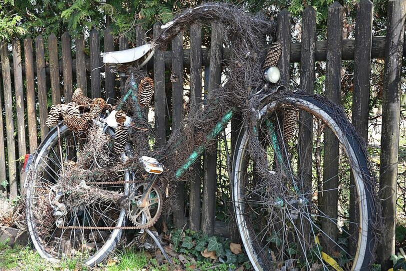 In voller Pracht lehnt das Fahrrad an einem Zaun. Und das schon ziemlich lange.