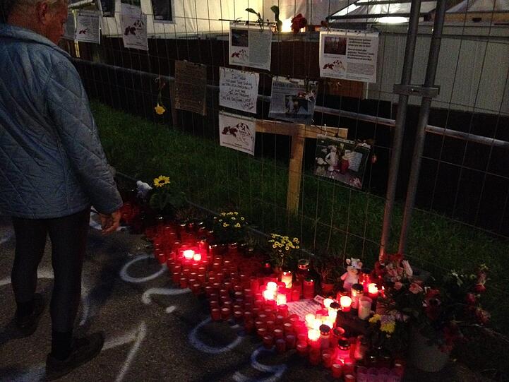 Nach dem Tod der Kuh: Tierschützer errichten einen Gedenk-Schrein am Fuße der Bavaria.