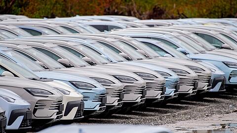 Der chinesische E-Auto-Hersteller BYD konnte seinen Absatz in Deutschland im Oktober erneut steigern. (Archivbild)