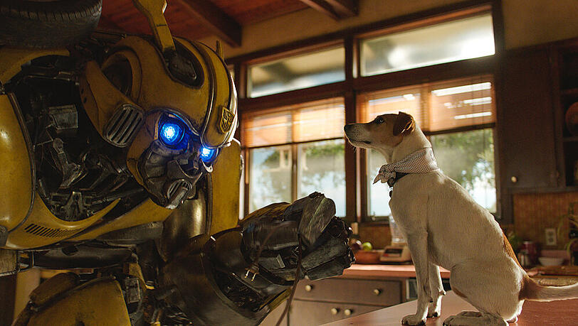 "Bumblebee" ist ein Spin-off und Prequel der "Transformers"-Reihe. "Bumblebee" ist ein Spin-off und Prequel der "Transformers"-Reihe.