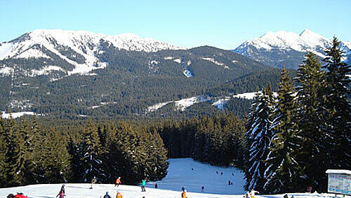 Winklmoosalm in den Chiemgauer Alpen Winklmoosalm in den Chiemgauer Alpen