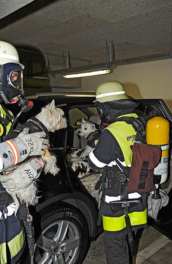 Ein Feuer in der Tiefgarage der Schranne sorgte am Donnerstag für Aufsehen in der City: Die Ursache ist noch unklar. Ein Auto verbrannte, zwei Hunde wurden gerettet.