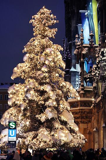 Der Christbaum am Marienplatz mit viel weißer Auflage.