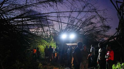 Arbeiter räumen umgestürzte Bäume und Trümmer beiseite.