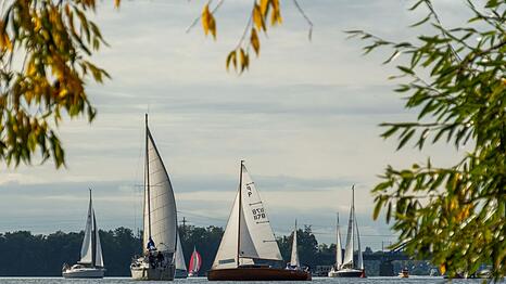 Segelboote sind bei herbstlichem Wetter auf dem Templiner See in Potsdam unterwegs.