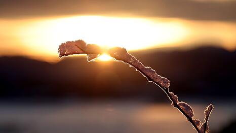 Zeitweise sonnig: Darauf k&ouml;nnen sich die Menschen am Montag im Nordosten sowie ganz im S&uuml;den freuen. (Archivbild)