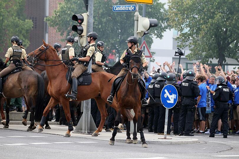 Die Löwen sind da! Die Bilder vor dem Amateurderby im Grünwalder Stadion.