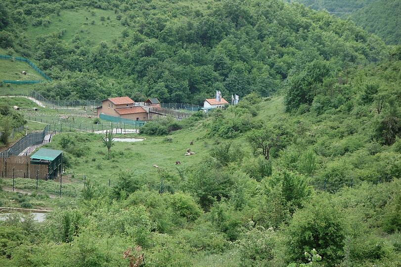 So idyllisch ist das gelände für die Bären in Prishtina