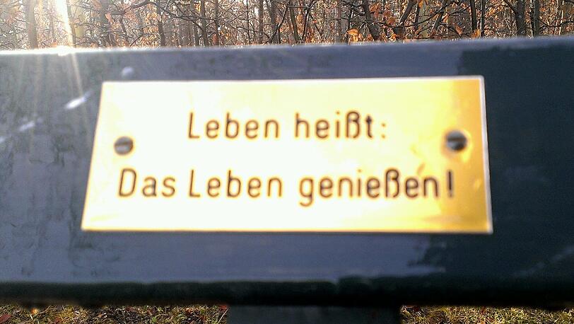 Im Englischen Garten und Nymphenburger Schlosspark haben Münchner tausende Plaketten mit Widmungen auf Parkbänken angebracht.
