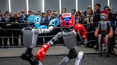 Roboter der Firma Unitree w&auml;hrend einer Pr&auml;sentation beim China-Besuch von Bundeskanzler Friedrich Merz (CDU). (Archivbild)