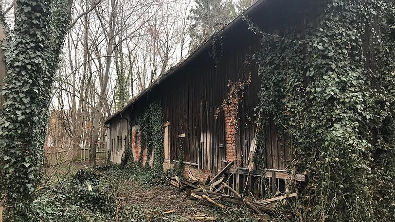 Der Perlschneiderhof von der Rückseite aus. Stadl und Haus würden sich bestens als Treffpunkt und Eventräume für Pasinger Vereine eignen, finden die ÖDP-Stadträte Johann Sauerer (r.), Sonja Haider und Mitstreiter Luis Fuchs.