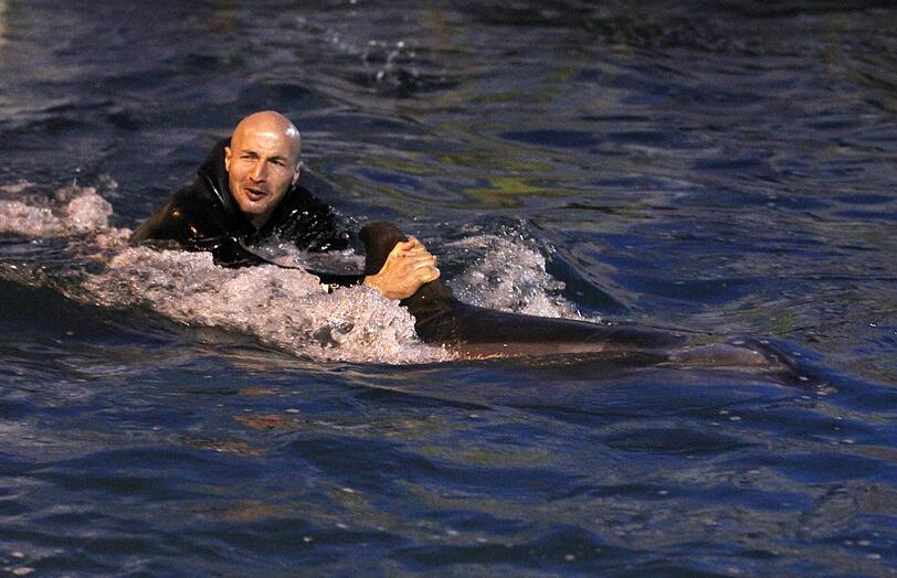 Für die Löwen ging's am Mittwoch noch tierisch zu: Im Delfinarium durften sie mit Flipper & Co. eine Runde schwimmen.