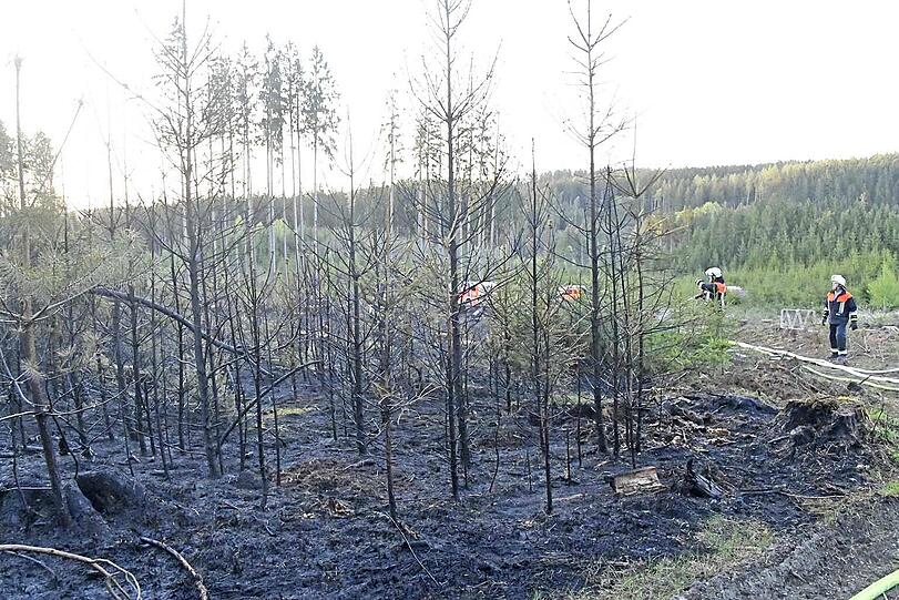 In der Nähe von Landshut standen am Freitagabend knapp 20.000 Quadratmeter Wald in Flammen. Rund 300 Einsatzkräfte waren bis tief in die Nacht im Einsatz, um den Brand unter Kontrolle zu bekommen.