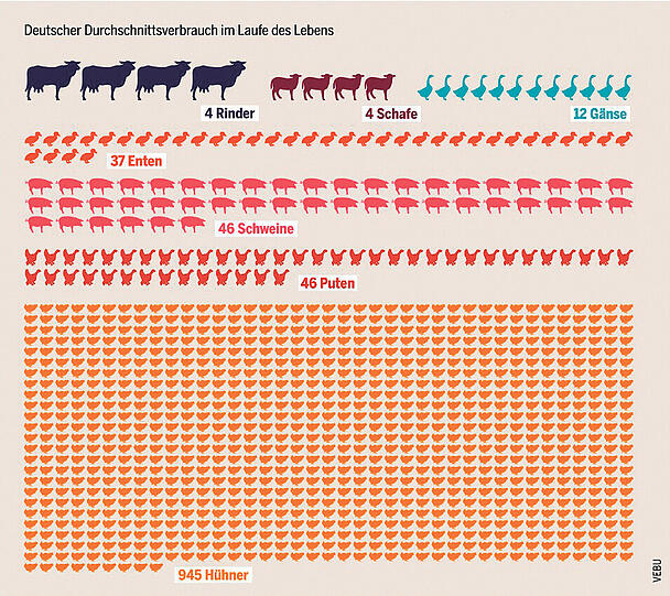 Fleisch ist und bleibt beliebt: So viele Tiere isst ein Bundesbürger im Schnitt im ganzen Leben.