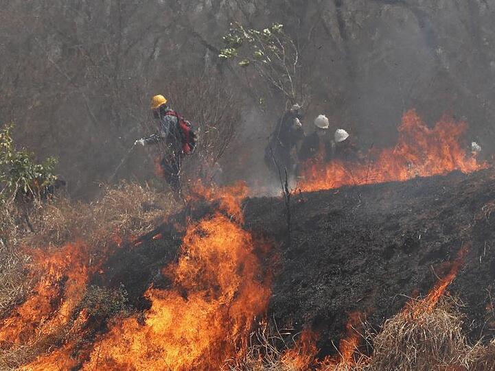 Polizei und Feuerwehrleute versuchen, ein Feuer im Chiquitano-Wald am Rande zu löschen.