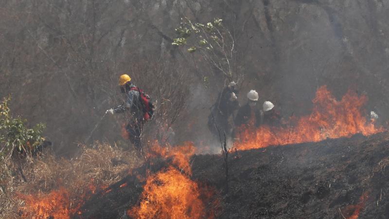 Polizei und Feuerwehrleute versuchen, ein Feuer im Chiquitano-Wald am Rande zu löschen. Polizei und Feuerwehrleute versuchen, ein Feuer im Chiquitano-Wald am Rande zu löschen.