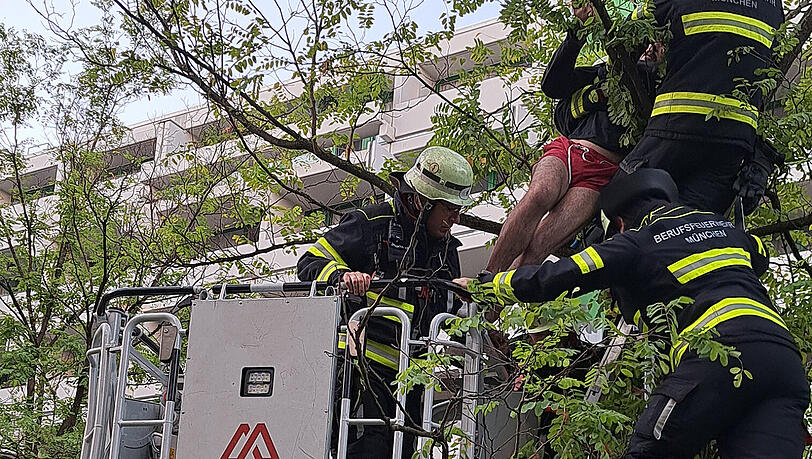 Feuerwehrleute holen den Mann vom Baum