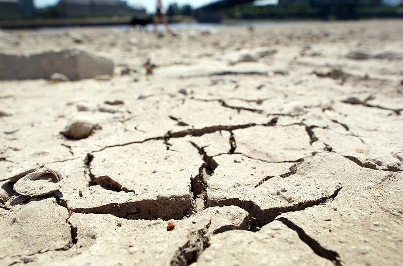 Die Trockenheit gibt vielen bayerischen Landwirten Grund zur Sorge.