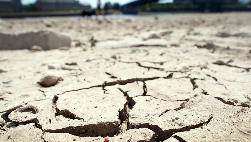 Die Trockenheit gibt vielen bayerischen Landwirten Grund zur Sorge. Die Trockenheit gibt vielen bayerischen Landwirten Grund zur Sorge.