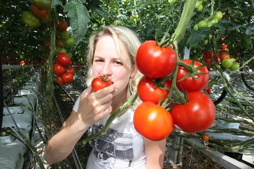 Hmmm, lecker, diese frischen Tomaten. Katharina Scherzer liebt ihr Gemüse.