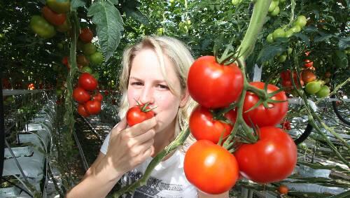 Hmmm, lecker, diese frischen Tomaten. Katharina Scherzer liebt ihr Gemüse. Hmmm, lecker, diese frischen Tomaten. Katharina Scherzer liebt ihr Gemüse.