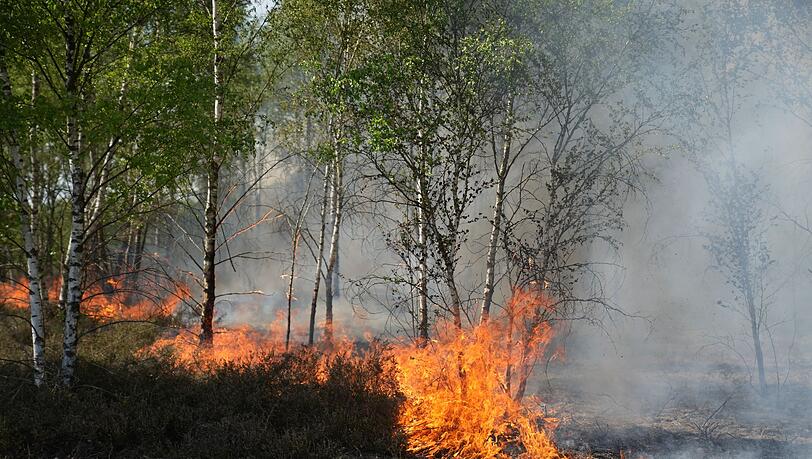 Der Waldbrand in J&uuml;terbog in Brandenburg breitet sich aus