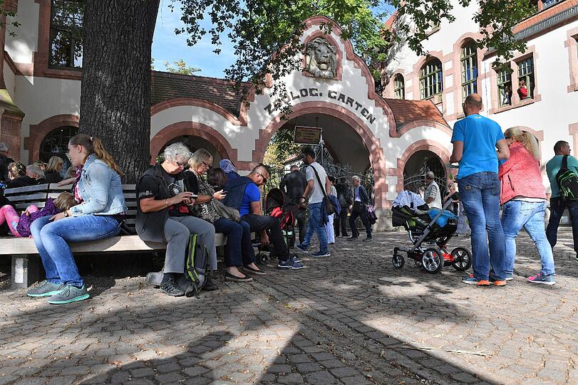 Aufregung vor dem Zoo-Gelände: Besucher müssen wegen den beiden freilaufenden Löwen draußen bleiben.