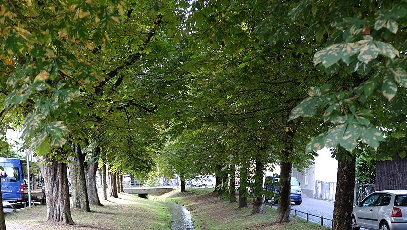 Der Bach im Ortskern. Der Bach im Ortskern.