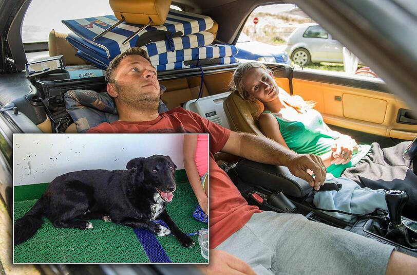 Hund Flecki ist wieder zurück. Seine Besitzer hatten eineinhalb Wochen bei einem Rastplatz an der A8 auf das Tier gewartet.