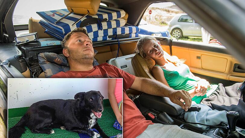 Hund Flecki ist wieder zurück. Seine Besitzer hatten eineinhalb Wochen bei einem Rastplatz an der A8 auf das Tier gewartet.