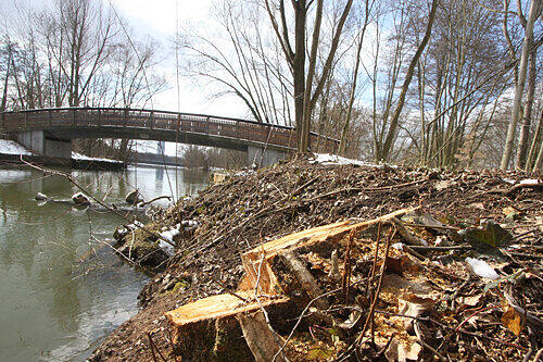 Über 100 Bäume kamen am Ufer des Wöhrder Sees unter die Kettensäge. Viele Bürger erkennen die Promenade ihres beliebten Naherholungsgebietes jetzt nicht mehr wieder.