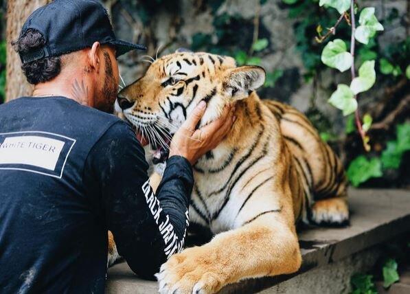 Und hier mit einem Tiger.
