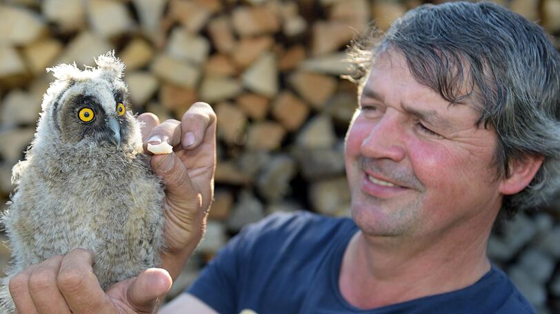 Ein Mann und seine Eule! Markus Roth (r.) will die Waldohreule bald wieder in die Wildnis entlassen.