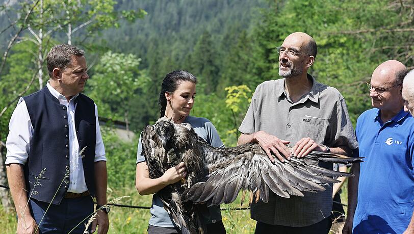 Bartgeier Zierli wurde zusammen mit Jungtier Alosa zur Auswilderungsnische im Klausbachtal gebracht. Bartgeier Zierli wurde zusammen mit Jungtier Alosa zur Auswilderungsnische im Klausbachtal gebracht.