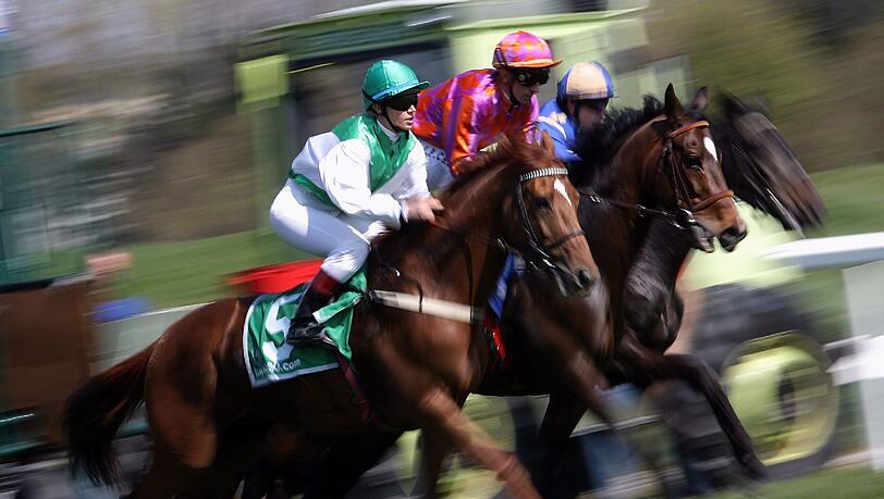 Die Rennbahn in Riem will Austragungsort des deutschen Derby werden. Die Rennbahn in Riem will Austragungsort des deutschen Derby werden.