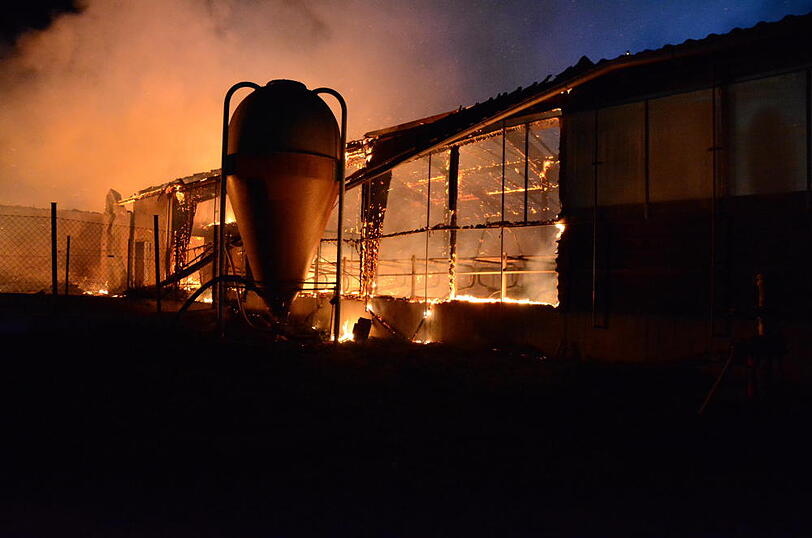 Die Flammen ließen nicht viel übrig - 30 Rinder starben im Feuer. Die Bilder vom Löscheinsatz in Wurmsham.