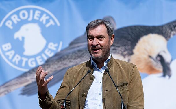 Passend zum Thema: Markus Söder (CSU), hier mit Dreitagebart, sprach im Mai vor der Auswilderung von zwei jungen Bartgeiern an der Nationalpark-Informationsstelle.
