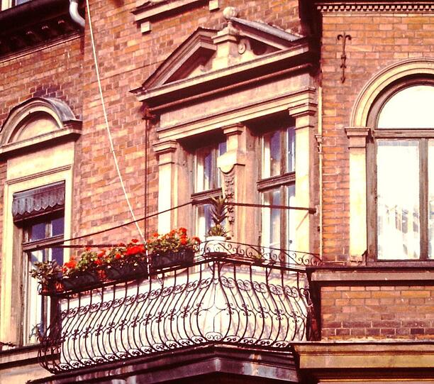 Nahaufnahme im Frühling 1977: Geranien verwandeln den Balkon an der Kaiserstraße in ein kleines Paradies.