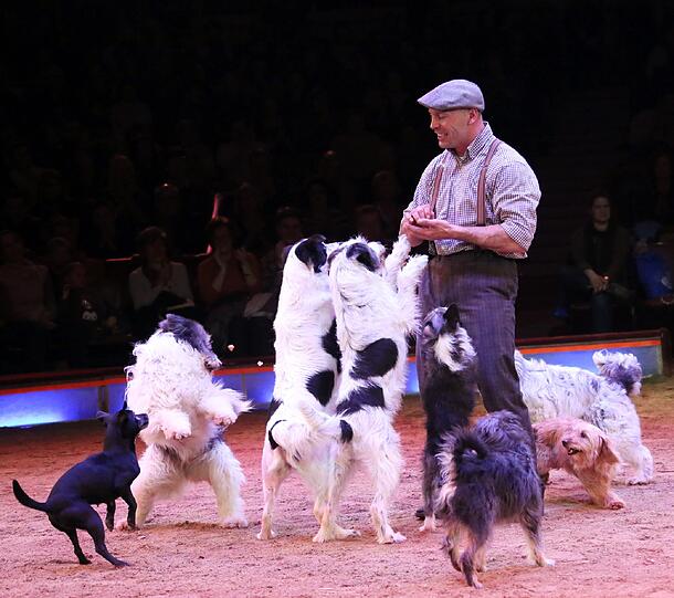 Die Hundeshow von Wolfgang Lauenburger.