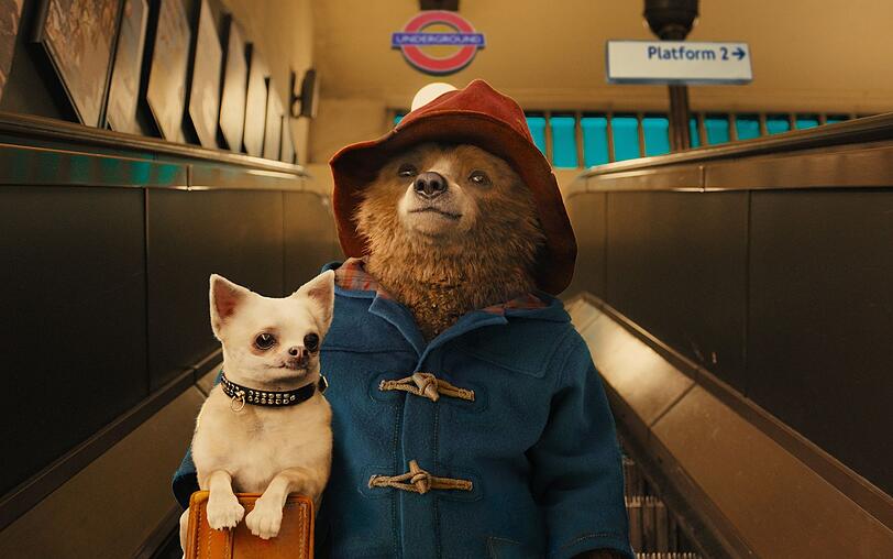 Das Schild "Auf der Rolltreppe müssen Hunde getragen werden" nimmt der Großstadtneuling Paddington sehr genau ... Das Schild "Auf der Rolltreppe müssen Hunde getragen werden" nimmt der Großstadtneuling Paddington sehr genau ...