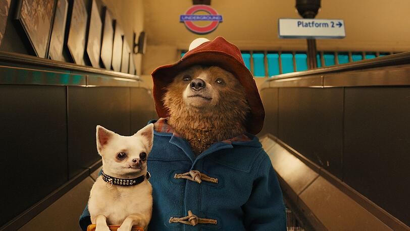 Das Schild "Auf der Rolltreppe müssen Hunde getragen werden" nimmt der Großstadtneuling Paddington sehr genau ... Das Schild "Auf der Rolltreppe müssen Hunde getragen werden" nimmt der Großstadtneuling Paddington sehr genau ...