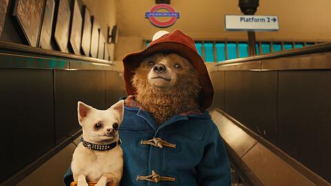 Das Schild "Auf der Rolltreppe m&uuml;ssen Hunde getragen werden" nimmt der Gro&szlig;stadtneuling Paddington sehr genau ...